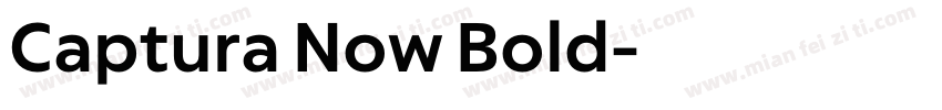 Captura Now Bold字体转换